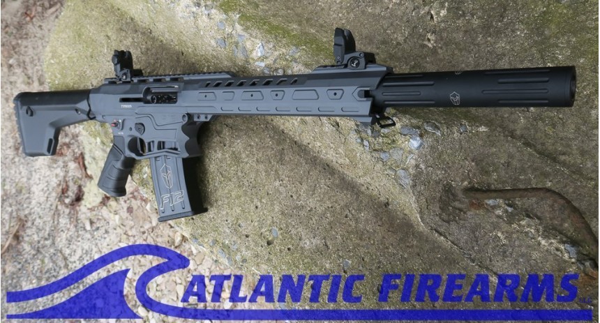 F12 Grey Classic Shotgun-Typhoon Defense