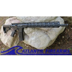 Delton Sierra 316L AR15 Rifle