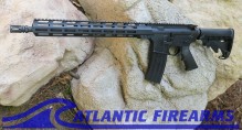 Delton Sierra 316L AR15 Rifle