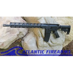 Delton Sierra 316L AR15 Rifle