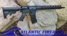 Delton Sierra 316L AR15 Rifle