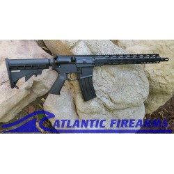Delton Sierra 316L AR15 Rifle