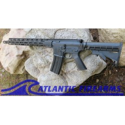 Delton Sierra 316L AR15 Rifle