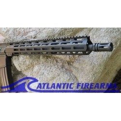 Delton Sierra 316L AR15 Rifle