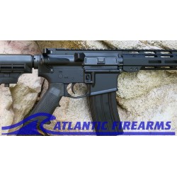 Delton Sierra 316L AR15 Rifle
