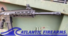 Heckler & Koch HK416 22LR Rifle- 81000401