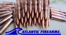 Wolf 7.62x54R Ammo- 500 Rounds