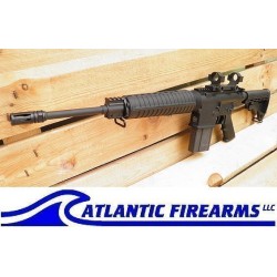  ArmaLite AR10A4 Carbine with Scope Mount