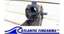 Sig Sauer P556 Classic Pistol w/ Pistol Brace & SIG Red Dot Scope