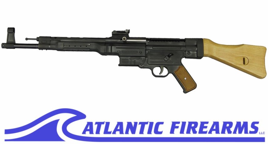 HMG Sturmgewehr STG-N 5.56/.223