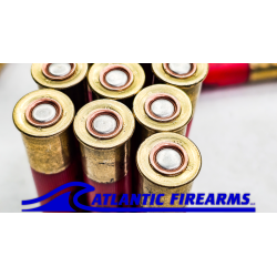Sterling .410 slug 500rd case