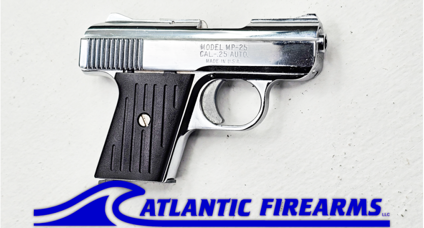 Raven Arms MP-25/Black Grips
