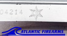 IMI Jericho 941F-W/Israeli Police Star