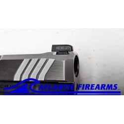 Ruger LCP Max Pistol