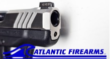 Ruger LCP Max Pistol