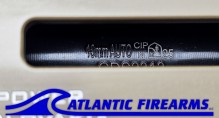 Grand Power Stribog SP10A3 10MM Pistol W/ Brace- FDE