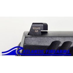 Sig Sauer P320 .45 Auto Pistol - Auction