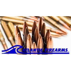 Surplus .30-06 SPRG Ball Ammo 45 Rounds - Auction