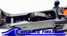 AM-15 Lower Receiver - Auction