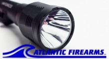 ARC 650 LR-M Modular Weapon Light - Inforce