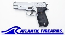 Sig Sauer P226 W. German Pistol Gray