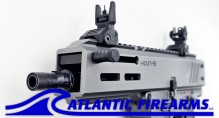 Panzer Arms HAN9 Pistol w/ Brace- Grey