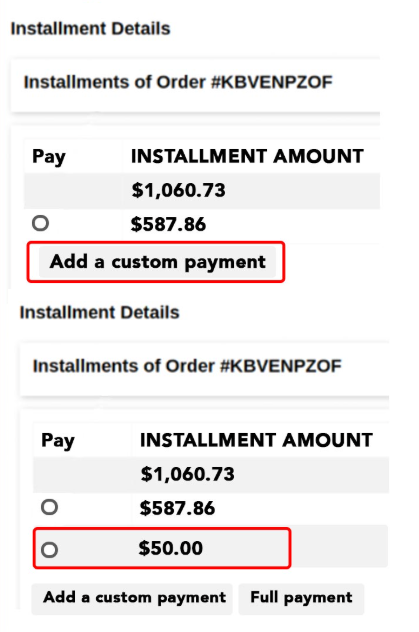 Custom Payment UI