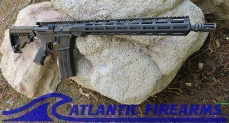 Delton Sierra 316L AR15 Rifle