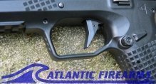 Type B Pistol-Archon Firearms-Limited Edition FDE Slide